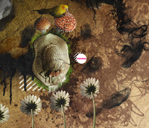 苹果短信轰炸机